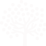 免费ddos网页端